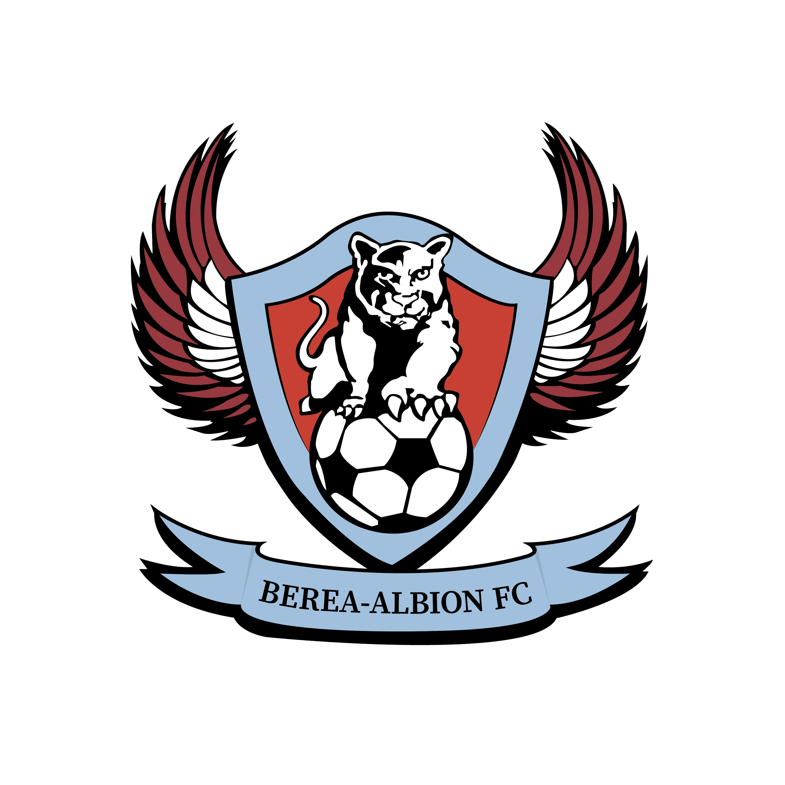 Albion football sales club